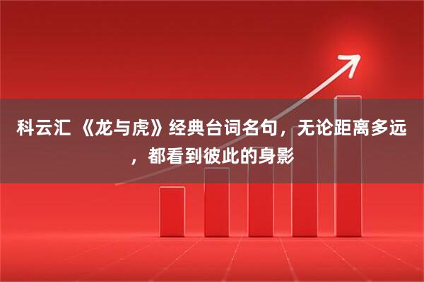 科云汇 《龙与虎》经典台词名句，无论距离多远，都看到彼此的身影