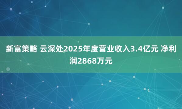 新富策略 云深处2025年度营业收入3.4亿元 净利润2868万元