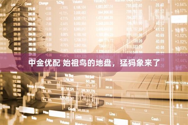 中金优配 始祖鸟的地盘，猛犸象来了